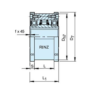 RINZ 100 G5G5