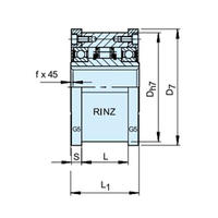 Обгонные муфты RINZ...G5G5