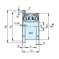 Обгонные муфты RIZ..G1G2