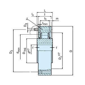 RSCI 300 II-M