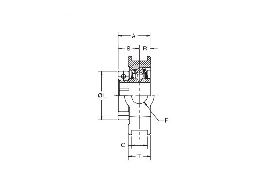 WSTU-DLM-100