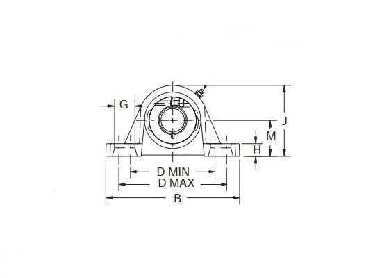 P2B-DLM-111