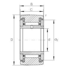 NATR10-PPA