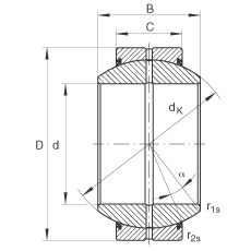 GE100-FO-2RS