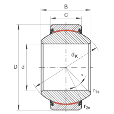 GE100-FW-2RS