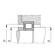 NUP2244-EX-TB-M1