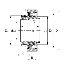 2205-K-2RS-TVH-C3 + H305