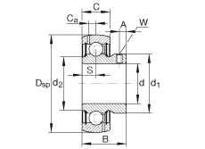 GAY008-NPP-B-AS2/V