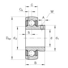 GAY12-NPP-B-FA164