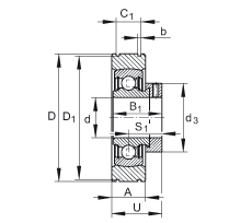 PE25