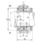 BND3248-H-C-T-BF-S