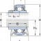 P 35 TR