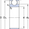 D/W R09