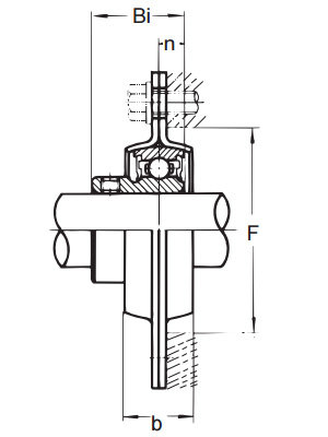 BPFL 7