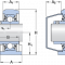 SYFWK 1.1/2 LTHR