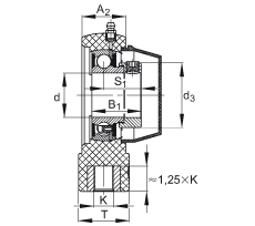 PHE45-TV-FA125.5