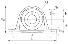 PAK7/8